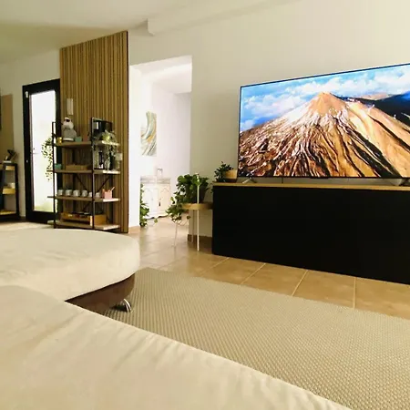 펜션 Big House Adeje Deluxe By Deihu Experiences *